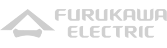  logo, partner of MWGsoft